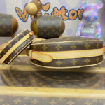 Louis Vuitton Croissant MM M46828 Brown